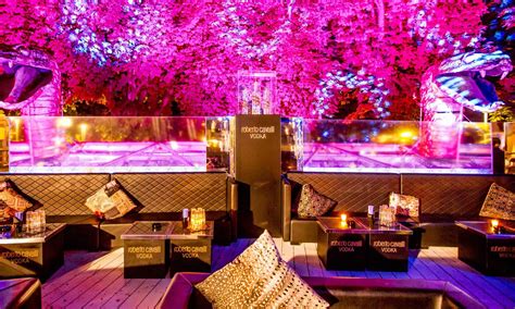 cavalli club photos|cavalli club prices.